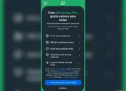 WhatsApp Plus Resmi Meluncur di Indonesia, Segini Harga Langganannya