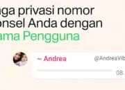 WhatsApp Resmi Hadirkan Fitur Username, Pengguna Kini Bisa Reservasi Nama