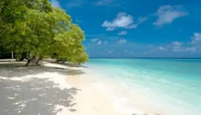 12 Wisata dan Pantai di Jogja yang Searah dengan Pantai Ngobaran, Cocok untuk Sekali Jalan