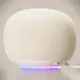 Google Home Speaker Resmi Meluncur dengan Dukungan Gemini Live