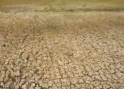 Antisipasi El Nino, Pemprov Banten Siapkan Pompa Air untuk Cegah Sawah Kekeringan