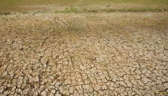 Antisipasi El Nino, Pemprov Banten Siapkan Pompa Air untuk Cegah Sawah Kekeringan