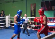 Bidik Medali Emas, Pertina Lampung Matangkan Persiapan PON Beladiri II Lewat Ajang VIP Boxing