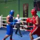 Jelang PON Beladiri II Pertina Lampung Asah Kemampuan Atlet di Ajang VIP Boxing