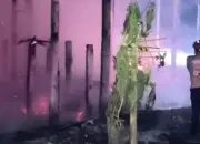 Kandang Ayam di Tulungagung Terbakar, 3.100 Ekor Ayam Mati Terpanggang