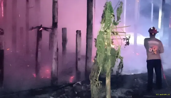 Kandang Ayam di Tulungagung Terbakar, 3.100 Ekor Ayam Mati Terpanggang