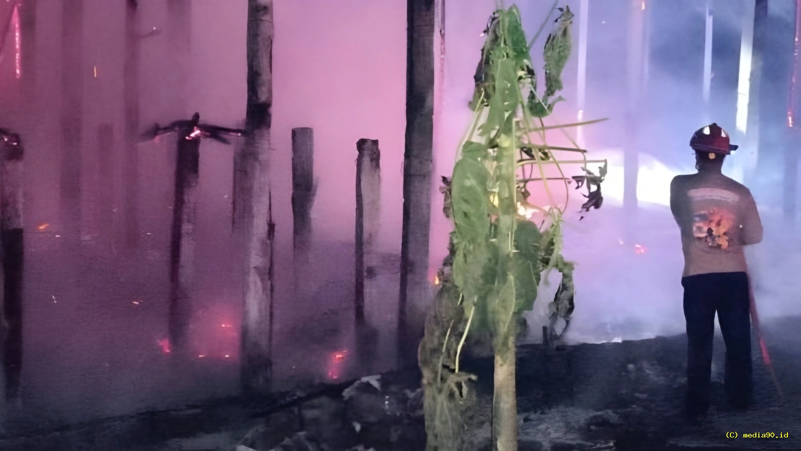 Kandang Ayam Ludes Terbakar di Tulungagung Ribuan Ekor Ayam Tak Terselamatkan