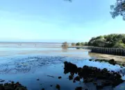 Liburan ke Pamekasan? Ini 10 Tempat Wisata Instagramable yang Wajib Dikunjungi