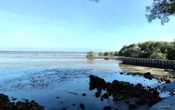 Liburan ke Pamekasan? Ini 10 Tempat Wisata Instagramable yang Wajib Dikunjungi
