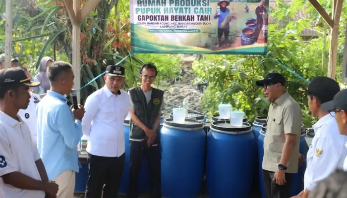 Pemprov Lampung Dorong Penguatan Ekonomi Desa melalui Inovasi Pertanian di Lampung Barat