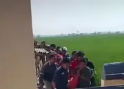 Perangkat Desa Kalipancur Ditemukan Tewas di Sawah, Polisi Amankan Batu dan Gagang Celurit