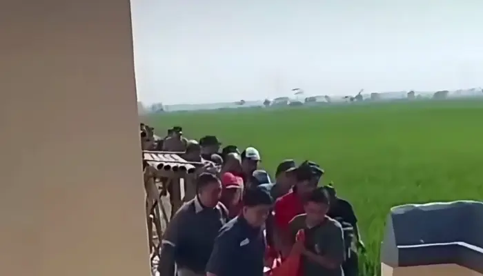 Perangkat Desa Kalipancur Ditemukan Tewas di Sawah, Polisi Amankan Batu dan Gagang Celurit