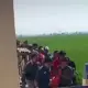 Perangkat Desa Kalipancur Ditemukan Tewas di Tengah Sawah Polisi Ungkap Temuan Luka dan Barang Bukti