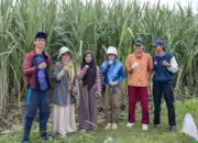 Peneliti Polinela dan Unila Kembangkan Teknologi Budidaya Tebu Ramah Lingkungan
