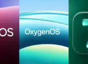 Rumor Terbaru: Realme UI dan OxygenOS Bakal Digabung Menjadi ColorOS?