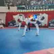 Taekwondo Lampung Optimistis Raih Dua Emas PON Berkat Pendampingan Talent Scouting Nasional