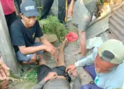 Tukang Gali Sumur Tewas Usai Terjatuh ke Kedalaman 12 Meter di Buleleng