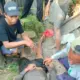 Tukang Gali Tewas Setelah Terjatuh ke Sumur Sedalam 12 Meter di Bali