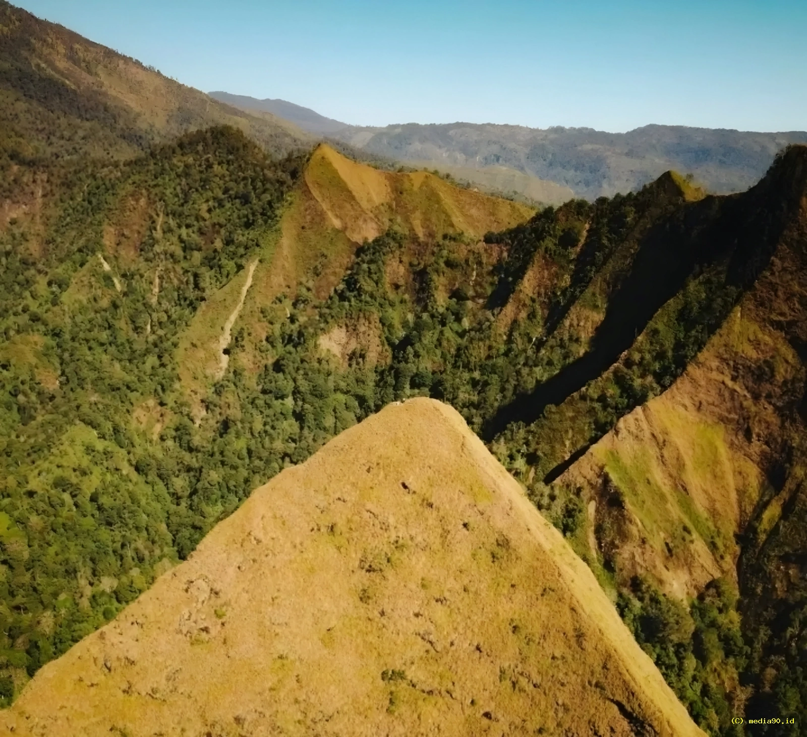 Pendaki Asal Surabaya dan Pemandu Lokal Hilang di Gunung Piramid Bondowoso, Tim SAR Masih Lakukan Pencarian