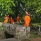 Pohon Beringin Tumbang Timpa Pemandian Umum di Temanggung, Lima Warga Terluka