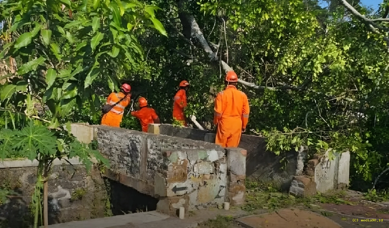 Detik-Detik Pohon Beringin Roboh Timpa Pemandian Umum di Temanggung, 5 Korban Luka