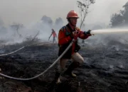Media Malaysia Soroti Asap Karhutla Kalimantan yang Terbawa ke Sarawak 13 Asap Karhutla Kalimantan Terbawa Angin ke Sarawak Media Malaysia Soroti