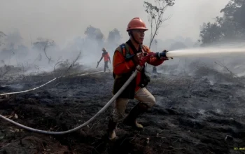 Media Malaysia Soroti Asap Karhutla Kalimantan yang Terbawa ke Sarawak 6 Asap Karhutla Kalimantan Terbawa Angin ke Sarawak Media Malaysia Soroti