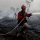 Asap Karhutla Kalimantan Terbawa Angin ke Sarawak Media Malaysia Soroti