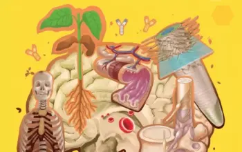 Link Download Buku Biologi Kelas 11 Kurikulum Merdeka PDF, Edisi Terbaru Gratis untuk SMA/MA 3 Buku Biologi Kelas 11 Kurikulum Merdeka PDF, Link Download Resmi untuk Siswa dan Guru