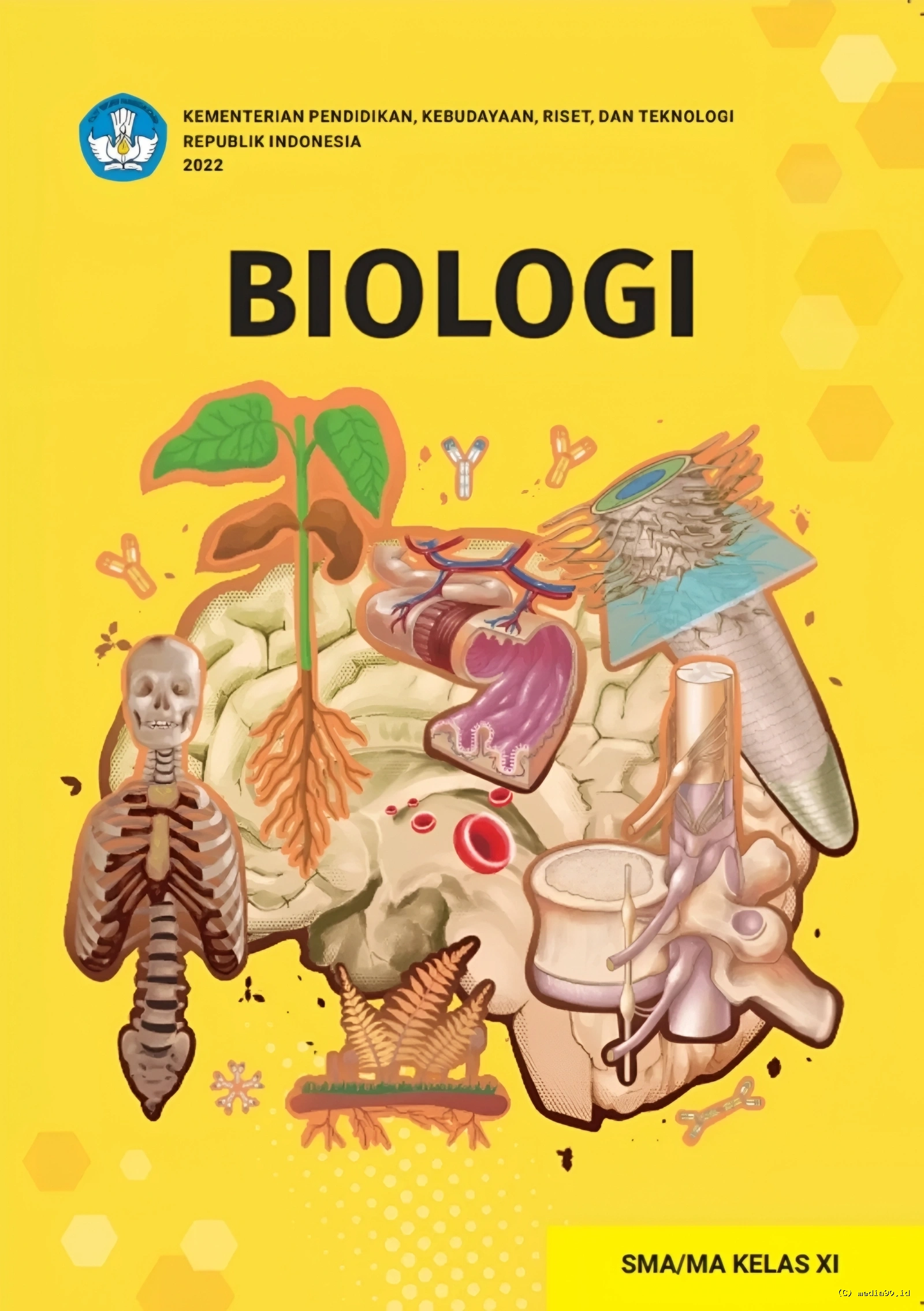 Buku Biologi Kelas 11 Kurikulum Merdeka PDF, Link Download Resmi untuk Siswa dan Guru