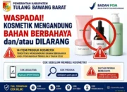 Cegah Dampak Kesehatan Pemkab Tubaba Imbau Warga Waspadai Kosmetik Ilegal