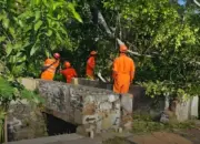 Detik-Detik Pohon Beringin Roboh Timpa Pemandian Umum di Temanggung, 5 Korban Luka