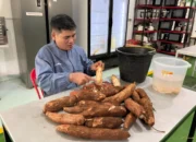Dosen Polinela Ubah Kulit Singkong Jadi Tepung, Suhu HMT 120°C Dinilai Paling Optimal