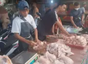 Dosen Polinela Teliti Bakteri Salmonella pada Daging Ayam di Pasar Bandar Lampung 11 Dosen Polinela Ungkap Penelitian Bakteri Salmonella pada Daging Ayam di Pasar Bandar Lampung