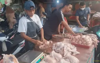 Dosen Polinela Teliti Bakteri Salmonella pada Daging Ayam di Pasar Bandar Lampung 4 Dosen Polinela Ungkap Penelitian Bakteri Salmonella pada Daging Ayam di Pasar Bandar Lampung