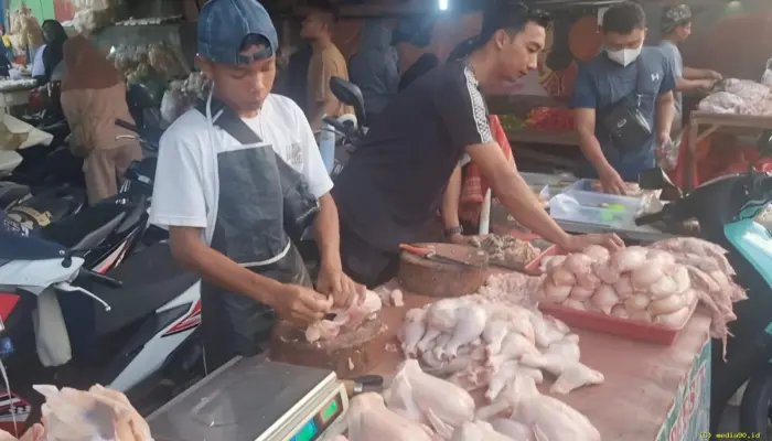Dosen Polinela Teliti Bakteri Salmonella pada Daging Ayam di Pasar Bandar Lampung