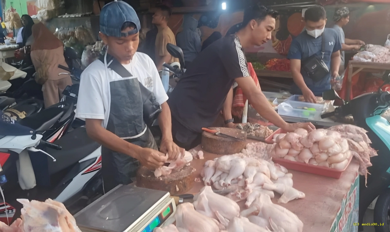 Dosen Polinela Ungkap Penelitian Bakteri Salmonella pada Daging Ayam di Pasar Bandar Lampung