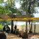 Ekshumasi Jasad Sutrismo Digelar Hari Ini Keluarga Disebut Tak Hadir