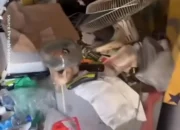 Geger Penyewa Kos 6 Tahun di Condongcatur Menghilang Kamar Dipenuhi Tumpukan Sampah