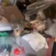 Geger Penyewa Kos 6 Tahun di Condongcatur Menghilang Kamar Dipenuhi Tumpukan Sampah