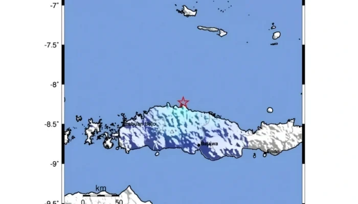 Gempa M4,6 Guncang Manggarai Hari Ini, BMKG: Pusat Gempa 45 Km Utara Ruteng