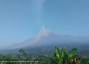 Gunung Semeru Erupsi Selasa Pagi, Kolom Abu Capai 800 Meter Mengarah ke Timur-Tenggara