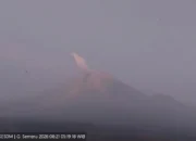 Gunung Semeru Erupsi Hari Ini, Kolom Abu Capai 700 Meter dan Mengarah ke Selatan 12 Gunung Semeru Kembali Erupsi Hari Ini Kolom Abu Membubung 700 Meter ke Arah Selatan