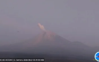 Gunung Semeru Erupsi Hari Ini, Kolom Abu Capai 700 Meter dan Mengarah ke Selatan 5 Gunung Semeru Kembali Erupsi Hari Ini Kolom Abu Membubung 700 Meter ke Arah Selatan