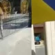 Viral Pedagang Pentol Dilarang Mangkal di Depan SDN Sumur Cinde 1, Ternyata Demi Keselamatan Siswa