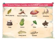Jawaban Bahasa Indonesia Kelas 11 Halaman 22, Panduan Menulis Teks Argumentasi