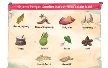 Jawaban Bahasa Indonesia Kelas 11 Halaman 22, Panduan Menulis Teks Argumentasi