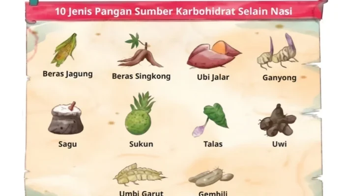 Kunci Jawaban Bahasa Indonesia Kelas 11 Halaman 22: Contoh Teks Argumentasi tentang Pangan Selain Beras
