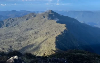 Jelajahi Pesona Gunung Leuser Ini 11 Destinasi Wisata di Aceh Tenggara yang Memukau