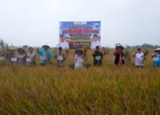 Jelang Hari Pelanggan Nasional PLN Dorong Penguatan Listrik untuk Pertanian Modern Lampung